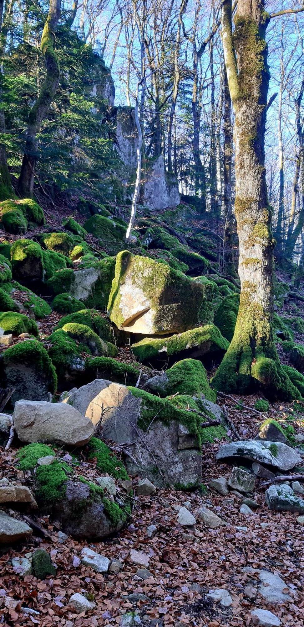 Vila Le Petit Mars Le Vaulmier Exteriér fotografie